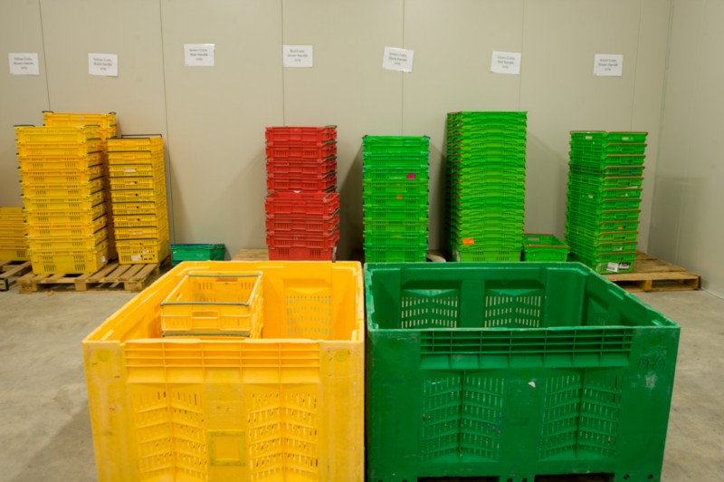 Bella Kai - Invercargill-0113504.jpg